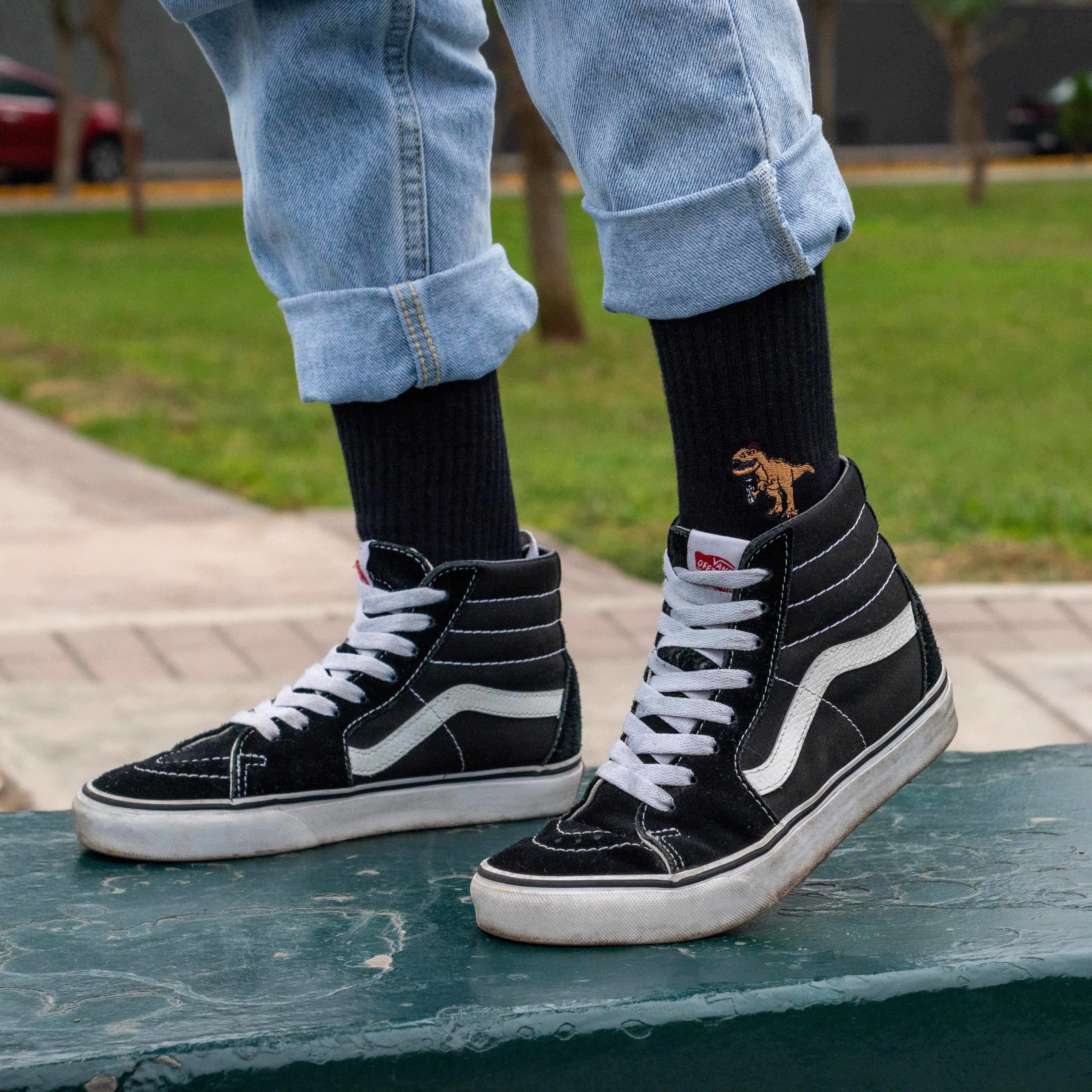 T-REX SOCKS BLACK - Image 3